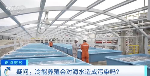 從陸地到海洋的藍(lán)色跨越 化工新材料驅(qū)動(dòng)綠色海洋牧場(chǎng)建設(shè)